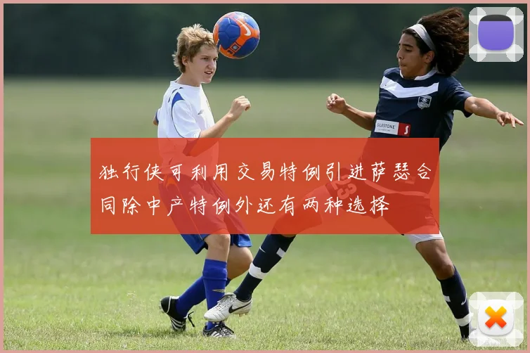 独行侠可利用交易特例引进萨瑟合同除中产特例外还有两种选择