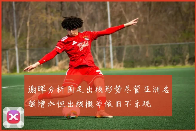 谢晖分析国足出线形势尽管亚洲名额增加但出线概率依旧不乐观